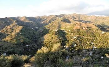 159 casas en venta torrox