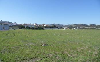 92 terrenos y fincas en venta benamocarra