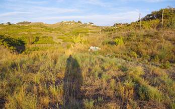 49 terrenos y fincas en venta algarrobo