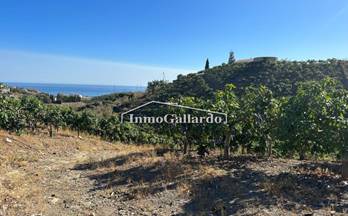 venta terrenos solares velez malaga 