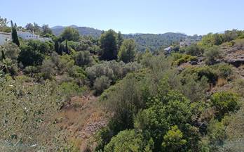 venta terrenos solares pego monte-pego