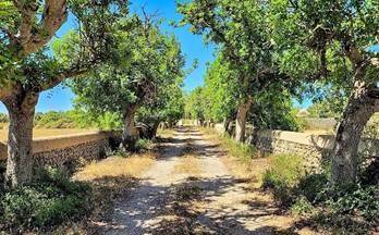 CASA UNIFAMILIAR en venta Alaior Alrededores