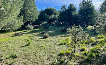 4 terrenos y fincas en venta valdepielagos