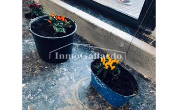 14 locales en alquiler malaga