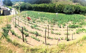 1 casas en venta trabada