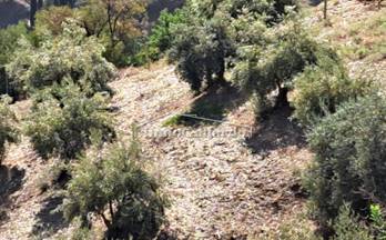 89 terrenos y fincas en venta iznate