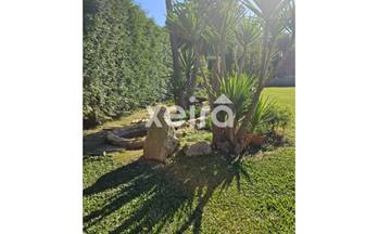 23 terrenos y fincas en venta dena