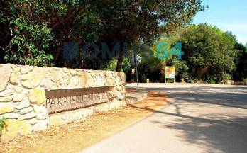 venta terrenos solares alcudia 