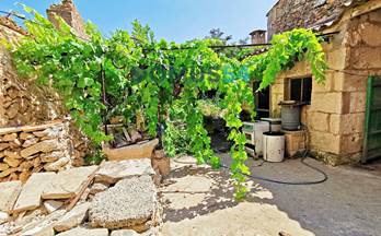 163 casas en venta llubi