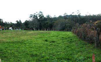 163 terrenos y fincas en venta pontevedra provincia