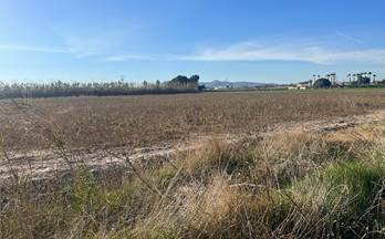 491 terrenos y fincas en venta alicante provincia