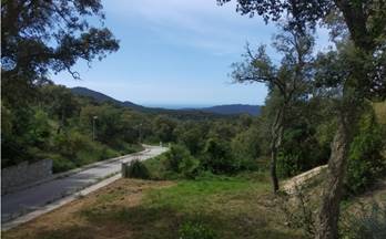 13 terrenos y fincas en venta cassa de la selva