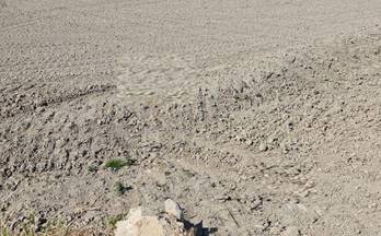 83 terrenos y fincas en venta roquetes