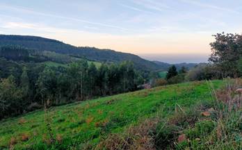 venta terrenos solares pravia 