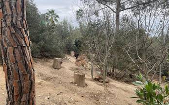 21 terrenos y fincas en venta anoia barcelona