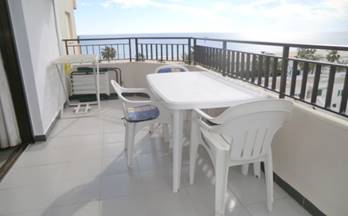 251 pisos en venta palmera