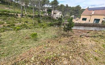 venta terrenos solares olivella les colines