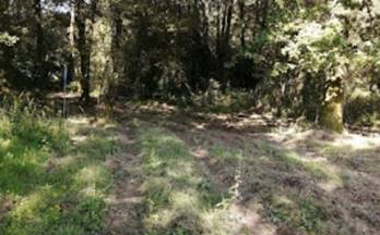 23 terrenos y fincas en venta o porriño