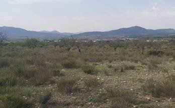 9 terrenos y fincas en venta salinas, alicante