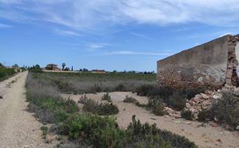 27 terrenos y fincas en venta aspe