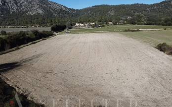 venta terrenos solares pollensa pollença