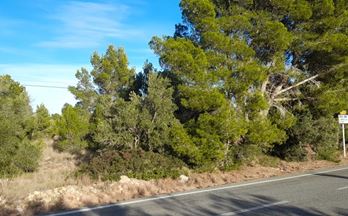 venta suelo urbanizable l´ametlla de mar partida semarroca poligono 86