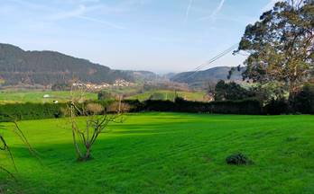 venta terrenos solares cudillero san cosme