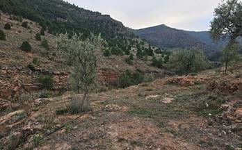 venta terrenos solares fondon fondón