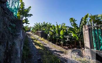 venta terrenos solares puerto de la cruz las dehesas