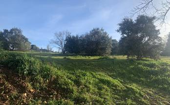 venta terrenos solares uceda 