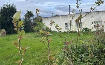 10 casas en venta santander