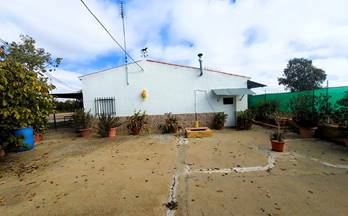 venta terrenos solares puebla de sancho perez puebla de sancho pérez