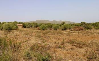 15 terrenos y fincas en venta arta