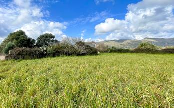 13 casas en venta font de sa cala