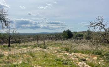 venta casa unifamiliar santa margalida norteste