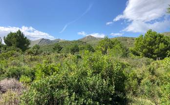 venta terrenos solares capdepera norteste