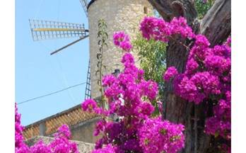 venta local capdepera norteste