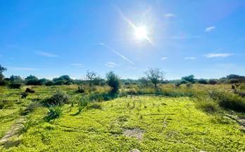 80 casas en venta muro