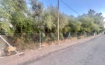 115 terrenos y fincas en venta alcudia, islas baleares