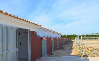 24 terrenos y fincas en venta san miguel de salinas