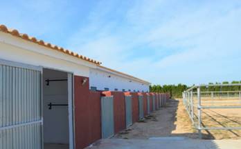 27 terrenos y fincas en venta rojales