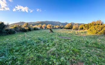 venta terrenos solares capdepera 