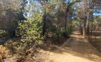 venta terrenos solares altea 