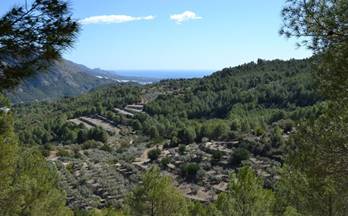 venta terrenos solares guadalest 