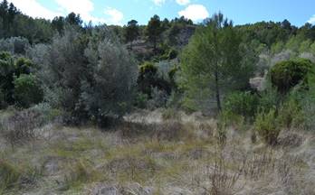 venta terrenos solares guadalest 