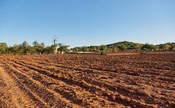 30 terrenos y fincas en venta san rafael de la creu