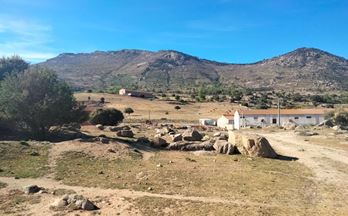 venta finca rustica resto provincia navalmoral de la sierra