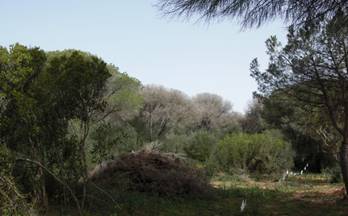 68 terrenos y fincas en venta cadiz provincia