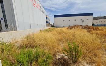 22 terrenos y fincas en venta elda