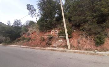 65 terrenos y fincas en venta cervello